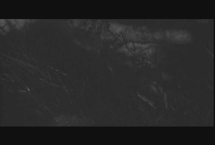 Thumbnail image for Midnite Mausoleum - Dementia 13