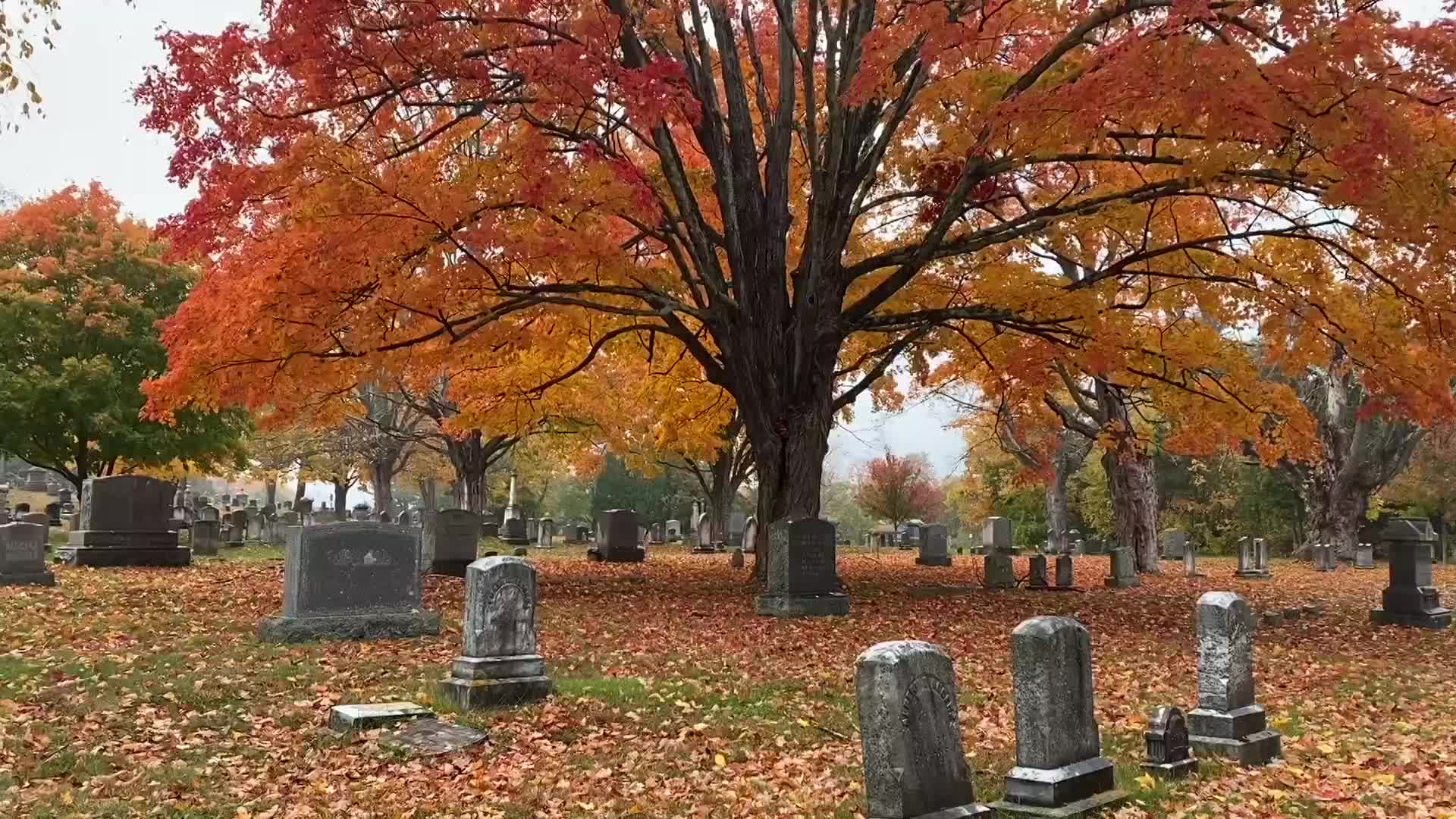 Ghost Chronicles Next Generation ep89 - Halloween 2022